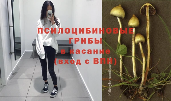 стафф Беломорск