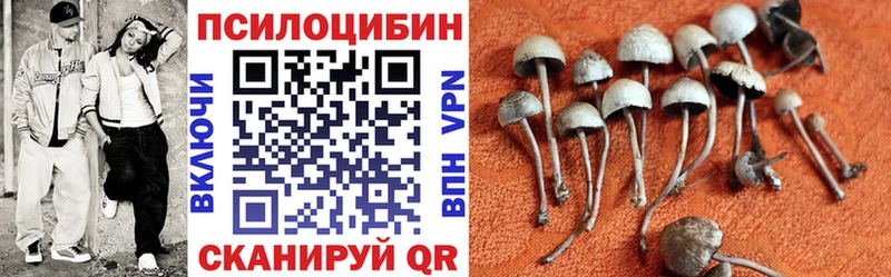 Галлюциногенные грибы GOLDEN TEACHER Вязники