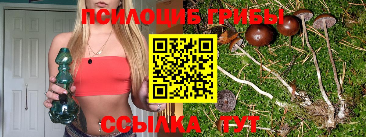Псилоцибиновые грибы ЛСД  Вход с VPN  Вязники  Галлюциногенные грибы Magic Shrooms 