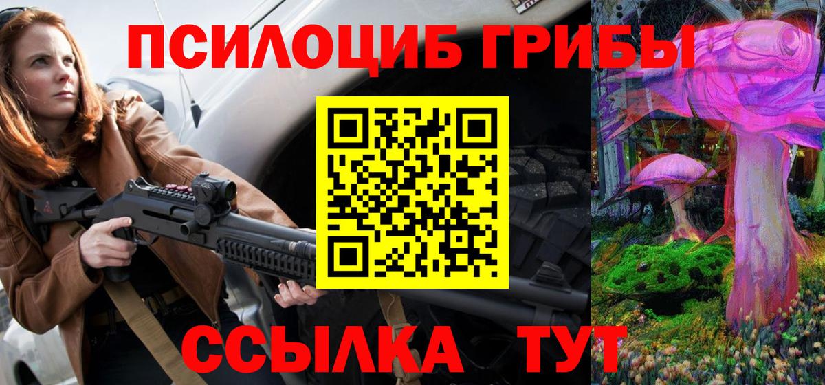 Псилоцибиновые грибы мицелий Вязники