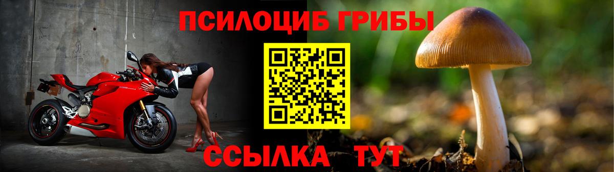 Псилоцибиновые грибы Psilocybine cubensis  Вязники 